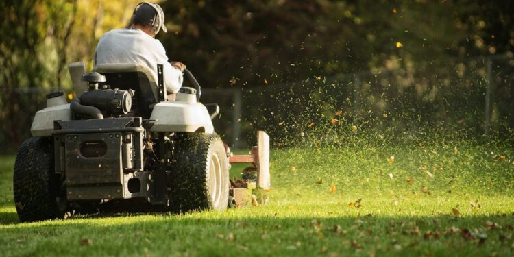 The 10 Best Affordable Lawn Care Services Near Me