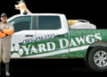 Lawn Care in Saskatoon – Weed-Free Lawns | Yard Dawgs