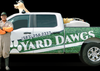 Lawn Care in Saskatoon – Weed-Free Lawns | Yard Dawgs