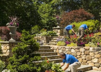 Ask the Experts: How to Find the Best Full Service Landscaping Near Me ...