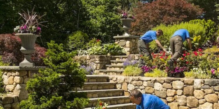 Ask the Experts: How to Find the Best Full Service Landscaping Near Me ...